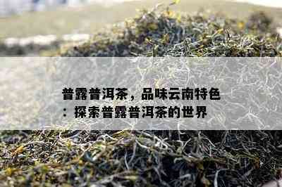 普露普洱茶，品味云南特色：探索普露普洱茶的世界