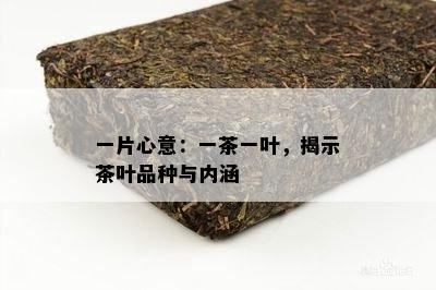 一片心意：一茶一叶，揭示茶叶品种与内涵