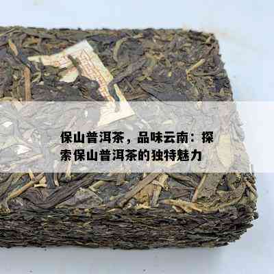 保山普洱茶，品味云南：探索保山普洱茶的独特魅力