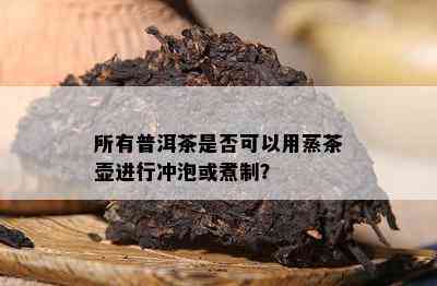 所有普洱茶是否可以用蒸茶壶进行冲泡或煮制？