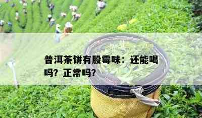 普洱茶饼有股霉味：还能喝吗？正常吗？