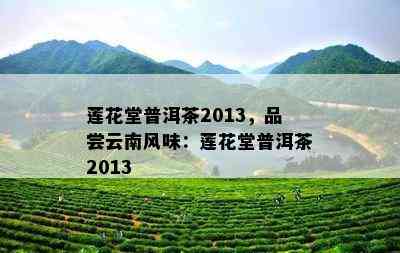 莲花堂普洱茶2013，品尝云南风味：莲花堂普洱茶2013