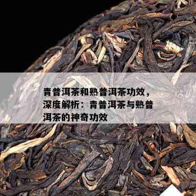 青普洱茶和熟普洱茶功效，深度解析：青普洱茶与熟普洱茶的神奇功效