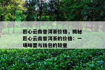 匠心云南普洱茶价格，揭秘匠心云南普洱茶的价格：一场味蕾与钱包的较量