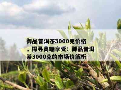 御品普洱茶3000克价格，探寻高端享受：御品普洱茶3000克的市场价解析