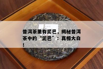 普洱茶里有泥巴，揭秘普洱茶中的“泥巴”：真相大白！