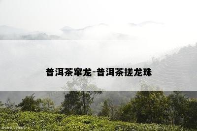 普洱茶窜龙-普洱茶搓龙珠