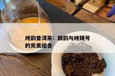 纯韵普洱茶：醇韵与纯臻号的完美结合