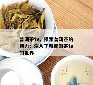 普洱茶tv，探索普洱茶的魅力：深入熟悉普洱茶tv的世界