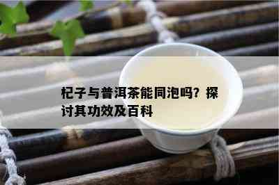 杞子与普洱茶能同泡吗？探讨其功效及百科