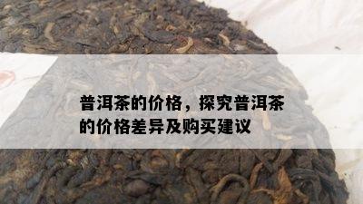 普洱茶的价格，探究普洱茶的价格差异及购买建议