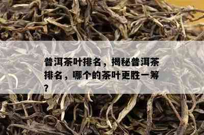 普洱茶叶排名，揭秘普洱茶排名，哪个的茶叶更胜一筹？