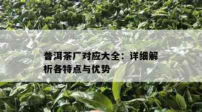 普洱茶厂对应大全：详细解析各特点与优势