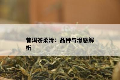 普洱茶柔滑：品种与滑感解析