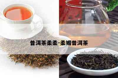 普洱茶柔柔-柔媚普洱茶