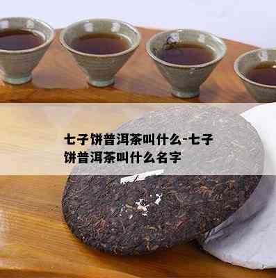 七子饼普洱茶叫什么-七子饼普洱茶叫什么名字