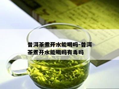 普洱茶煮开水能喝吗-普洱茶煮开水能喝吗有吗