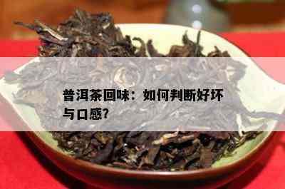 普洱茶回味：怎样判断好坏与口感？