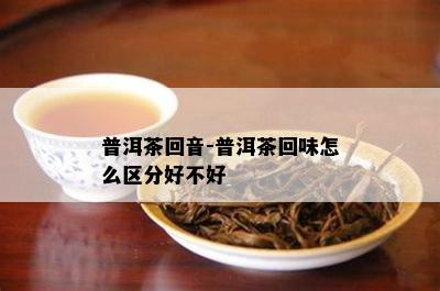 普洱茶回音-普洱茶回味怎么区分好不好