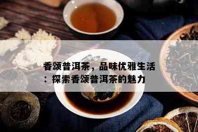 香颂普洱茶，品味优雅生活：探索香颂普洱茶的魅力