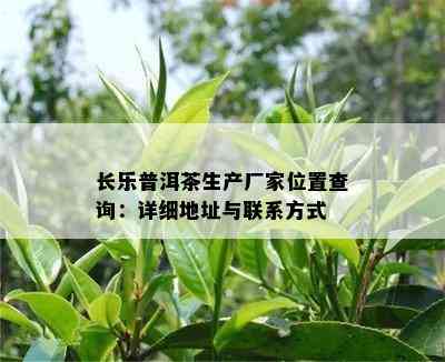 长乐普洱茶生产厂家位置查询：详细地址与联系方法