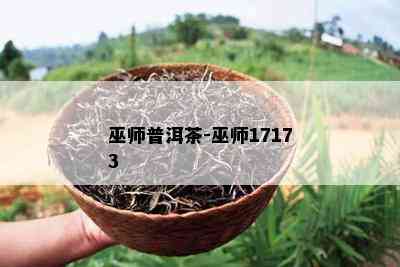 巫师普洱茶-巫师17173