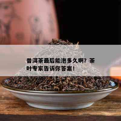 普洱茶最后能泡多久啊？茶叶专家告诉你答案！