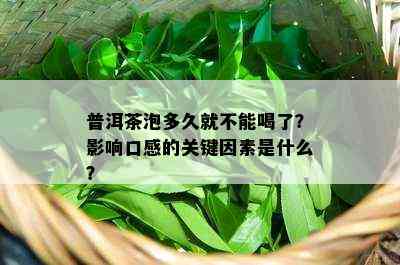 普洱茶泡多久就不能喝了？作用口感的关键因素是什么？