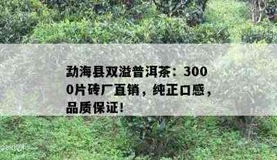 勐海县双溢普洱茶：3000片砖厂直销，纯正口感，品质保证！