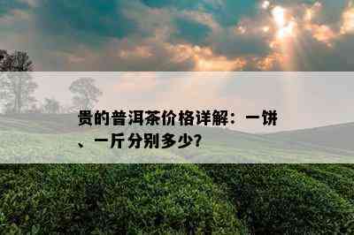 贵的普洱茶价格详解：一饼、一斤分别多少？