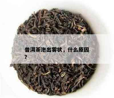 普洱茶泡出雾状，什么原因？