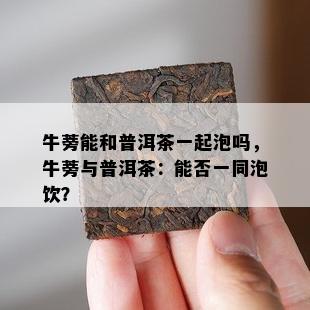 牛蒡能和普洱茶一起泡吗，牛蒡与普洱茶：能否一同泡饮？