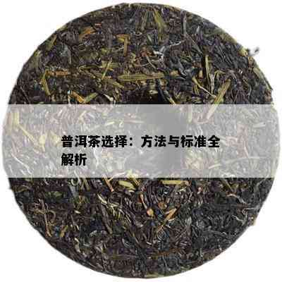 普洱茶选择：方法与标准全解析