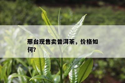 邢台现售卖普洱茶，价格怎样？