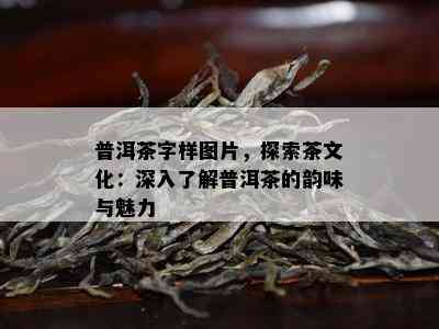 普洱茶字样图片，探索茶文化：深入了解普洱茶的韵味与魅力