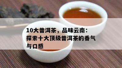 10大普洱茶，品味云南：探索十大顶级普洱茶的香气与口感