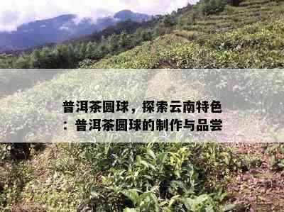 普洱茶圆球，探索云南特色：普洱茶圆球的制作与品尝