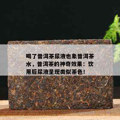 喝了普洱茶尿液也象普洱茶水，普洱茶的神奇效果：饮用后尿液呈现类似茶色！