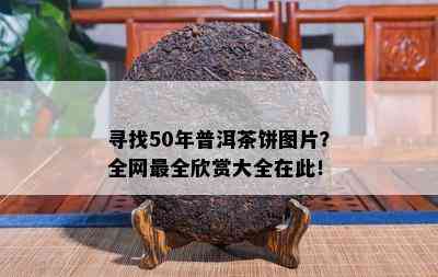 寻找50年普洱茶饼图片？全网最全欣赏大全在此！