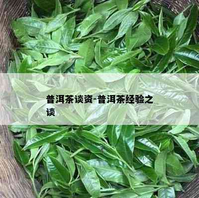 普洱茶谈资-普洱茶经验之谈