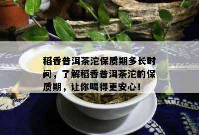 稻香普洱茶沱保质期多长时间，熟悉稻香普洱茶沱的保质期，让你喝得更安心！