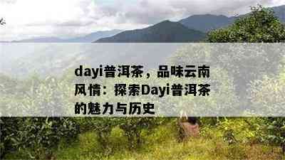 dayi普洱茶，品味云南风情：探索Dayi普洱茶的魅力与历史