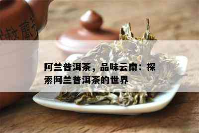 阿兰普洱茶，品味云南：探索阿兰普洱茶的世界