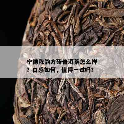 宁德陈韵方砖普洱茶怎么样？口感怎样，值得一试吗？