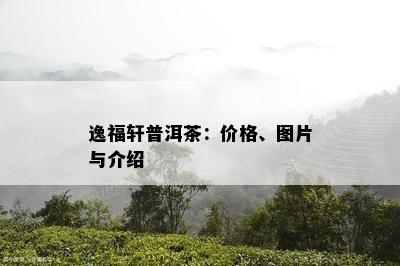 逸福轩普洱茶：价格、图片与介绍