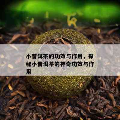 小普洱茶的功效与作用，探秘小普洱茶的神奇功效与作用