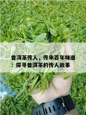 普洱茶传人，传承百年味道：探寻普洱茶的传人故事