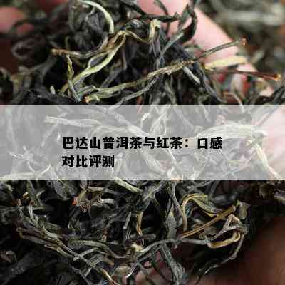 巴达山普洱茶与红茶：口感对比评测