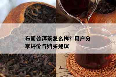 布朗普洱茶怎么样？用户分享评价与购买建议