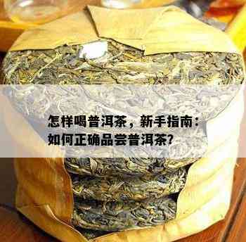 怎样喝普洱茶，新手指南：怎样正确品尝普洱茶？